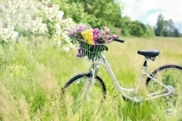 fiori primaverili