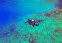 5 Sport acquatici per allenarsi e divertirsi 5 Sport acquatici per allenarsi e divertirsi