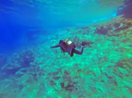 5 Sport acquatici per allenarsi e divertirsi