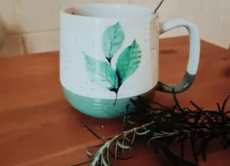 Tisane casalinghe per tosse e catarro: rimedi naturali efficaci Tisane casalinghe per tosse e catarro: rimedi naturali efficaci