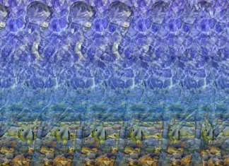 Stereogrammi storia di un gioco di illusione e intrattenimento Stereogrammi storia di un gioco di illusione, profondità e intrattenimento