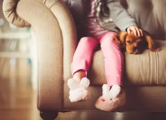 Animali per bambini: 5 amici pelosetti, compagnia e responsabilità Animali per bambini: 5 amici pelosetti, compagnia e responsabilità