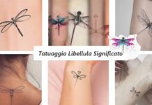 Libellula tatuaggio significato disegni simbologia Libellula tatuaggio significato disegni simbologia