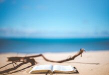 Libri da leggere sotto l’ombrellone consigliati per l’estate 2024 Libri da leggere sotto l'ombrellone consigliati per l'estate 2024
