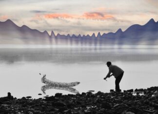 Sognare di pescare tanti pesci significato e numeri da giocare Sognare di pescare tanti pesci significato e numeri da giocare