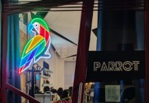 Nuova stagione cinema, cultura e gaming al Parrot Kino and Gaming Lounge di Roma Locale Parrot di Roma