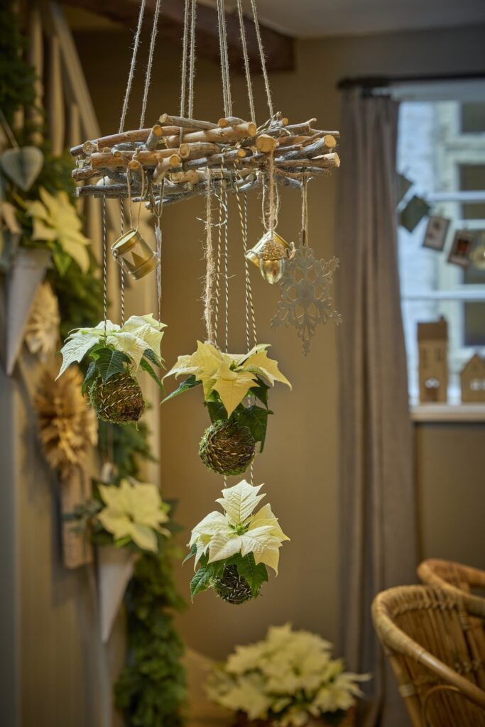 Kokedama appesi decorazioni di Natale