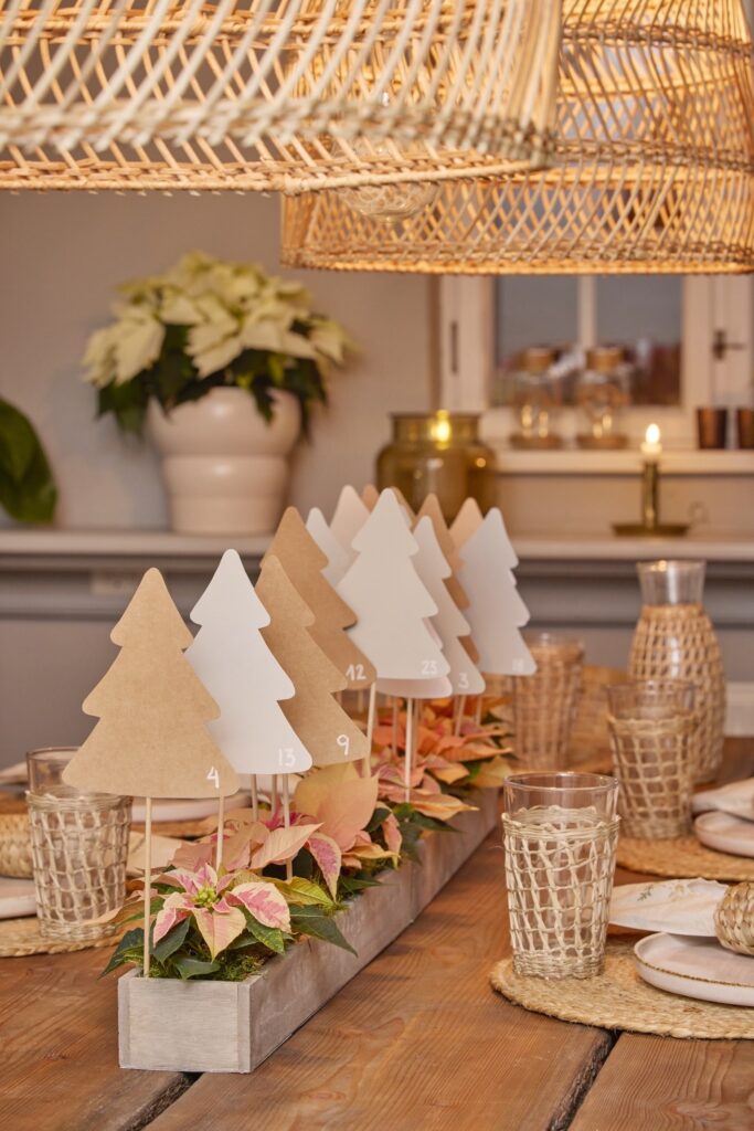 Kokedama e centro tavola con stella di natale