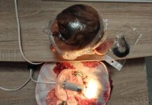 Rooting reborn l’importanza della lampada, ma non solo! Rooting reborn l'importanza della lampada, ma non solo!