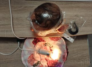 Rooting reborn l’importanza della lampada, ma non solo! Rooting reborn l'importanza della lampada, ma non solo!