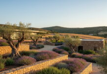 Architettura del paesaggio come fare tra funzionalità ed estetica Architettura del paesaggio come fare tra funzionalità ed estetica