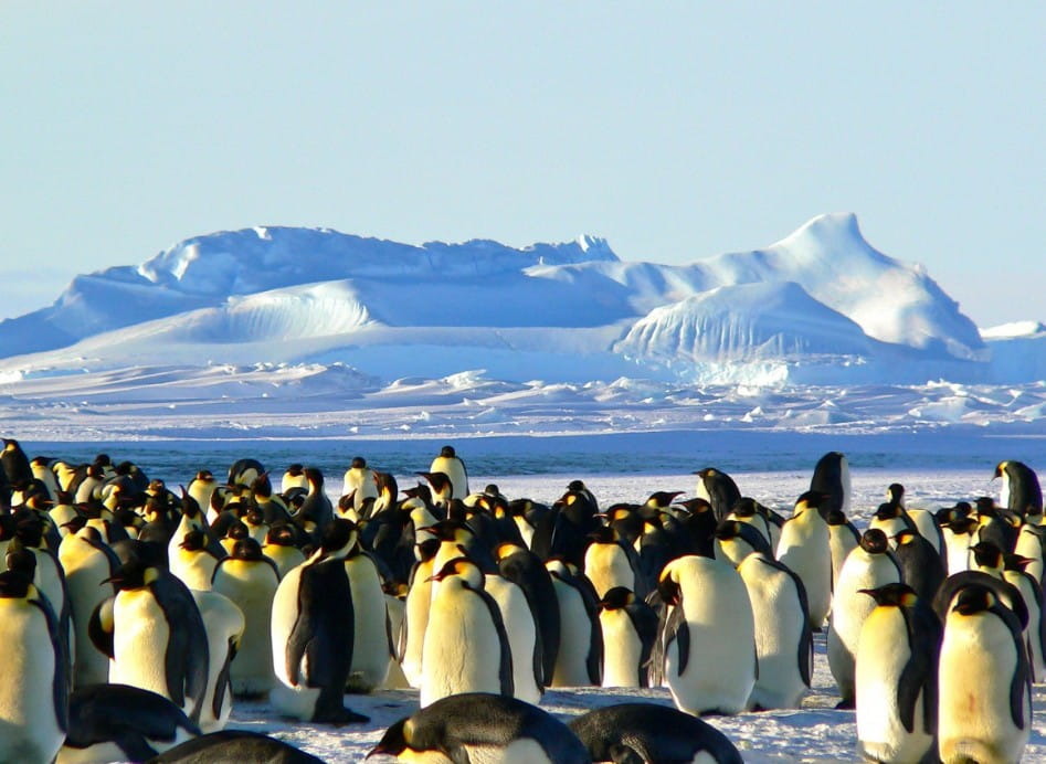Antartide: ghiaccio e pinguini