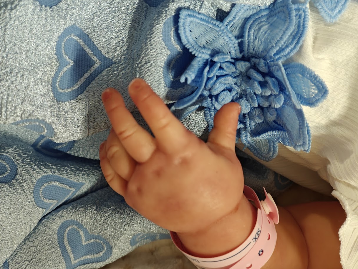 Reborn mani - Mara Mencarelli