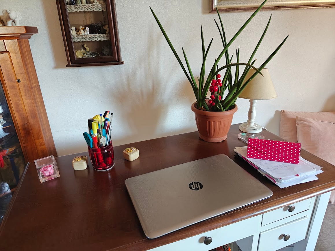 Piante per ufficio: ergonomia, ordine, aria, luce e tanto verde “facile” Piante per ufficio sansevieria grassa su scrivania